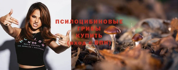 ПСИЛОЦИБИНОВЫЕ ГРИБЫ Гусиноозёрск