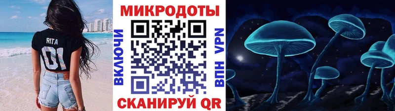 Галлюциногенные грибы Psilocybe  дарнет шоп  Пущино 